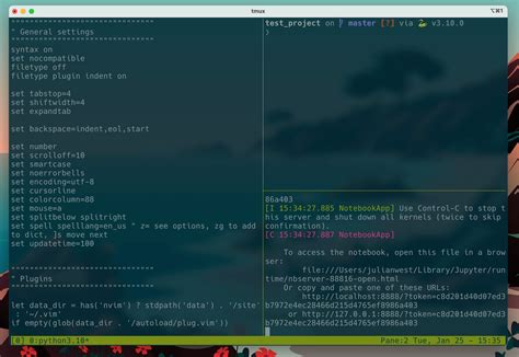 Plugin System of Zsh